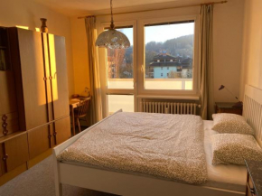 Apartmán Pod Studenou Horou, Rokytnice Nad Jizerou